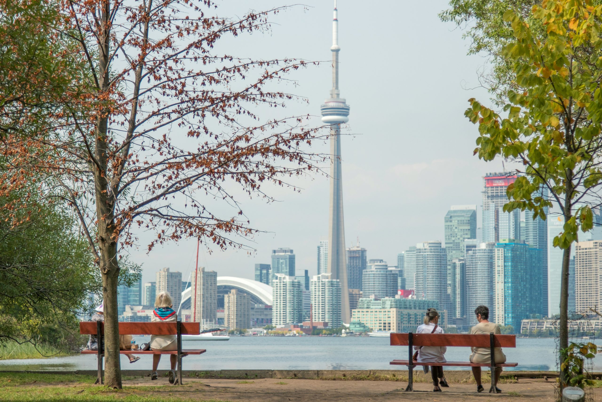 A photo of the Toronto horizon with the CN tower in the middle. Photo taken from a park across the lake.
